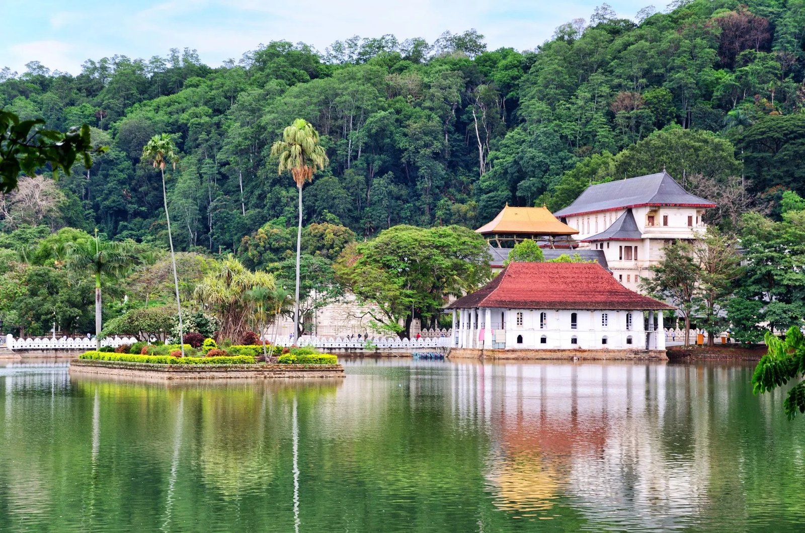 Nature Land Tours | Discover Sri Lanka’s Cultural Heritage & Historical Wonders