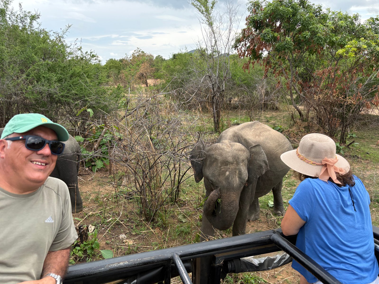 Nature Land Tours | Discover Sri Lanka’s Cultural Heritage & Historical Wonders